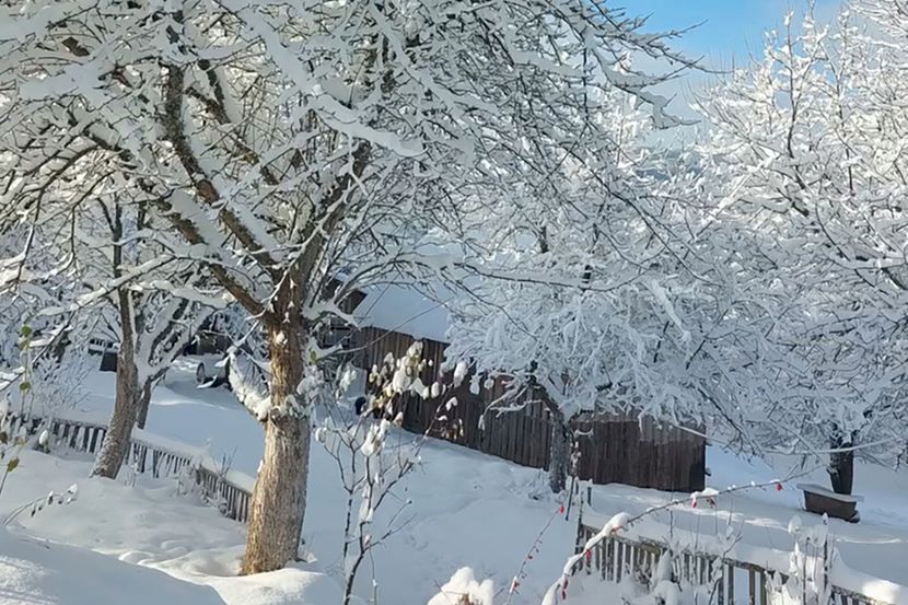 Snijeg napravio haos u Lici: Bez struje na stotine domaćinstava