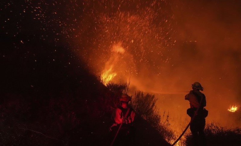 Šumski požar opasno prijeti: Vatrena stihija primorala na evakuaciju oko 20.000 ljudi