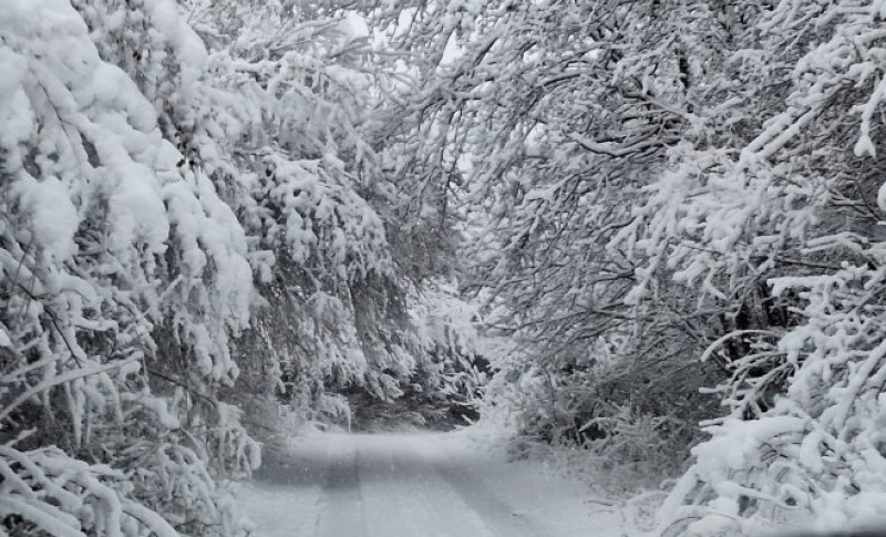 Iz Bastasa kod Banjaluke traže pomoć: Hitno reagovati kako bi selo bilo prohodno VIDEO