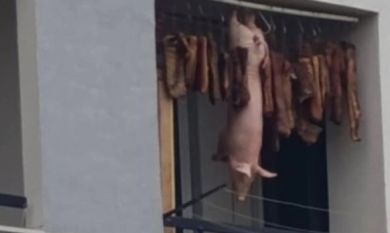 Pečenica do pečenice, a u sredini prase: Živi u zgradi, a kao da je sam u svom dvorištu na selu