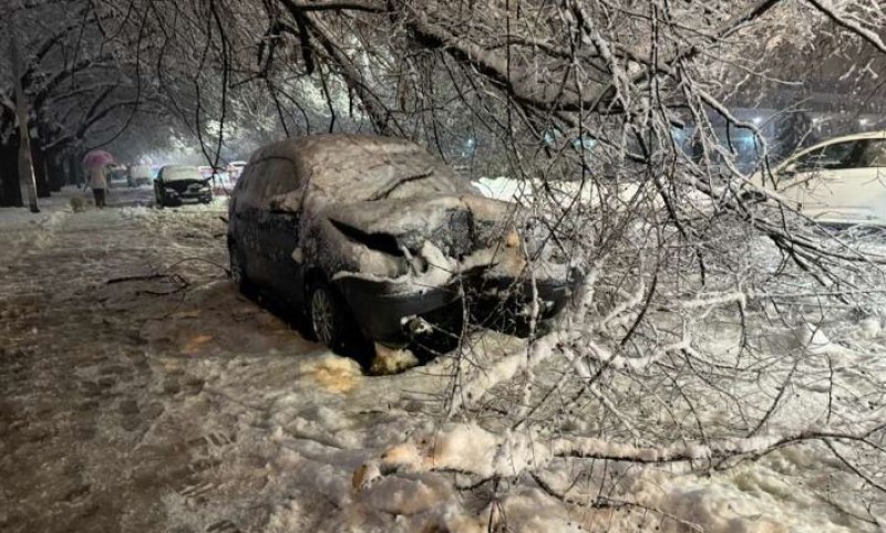 Haos u Banjaluci! Pod teretom snijega pala grana pored auta koji se zabio u znak za pješački