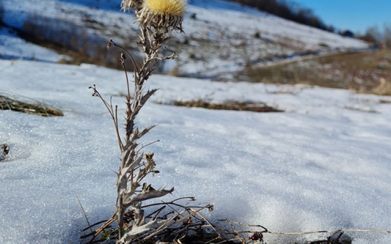 Vjetar će biti slab: Sutra pretežno oblačno i hladno