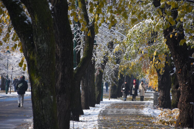 Hladno jutro uz jak mraz: U petak pretežno sunčano i malo toplije