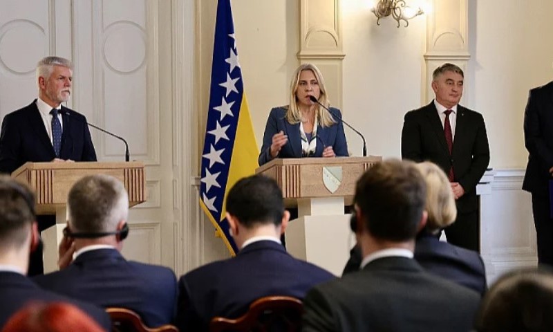 Cvijanovićeva nakon sastanka sa Pavelom: Poboljšana saradnja BiH i Češke