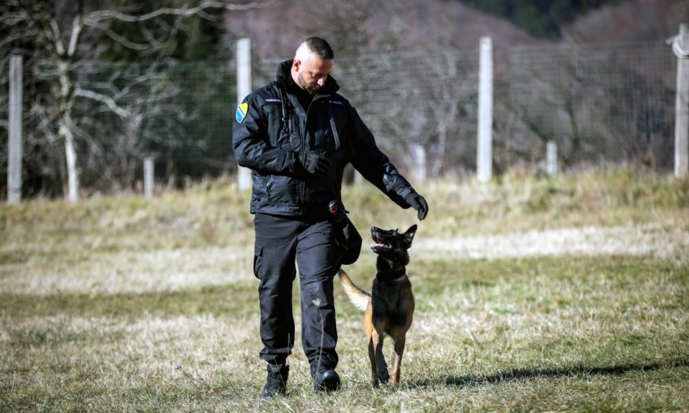 Prati vodiča Dejana: Službeni pas GP BiH prvak na takmičenju