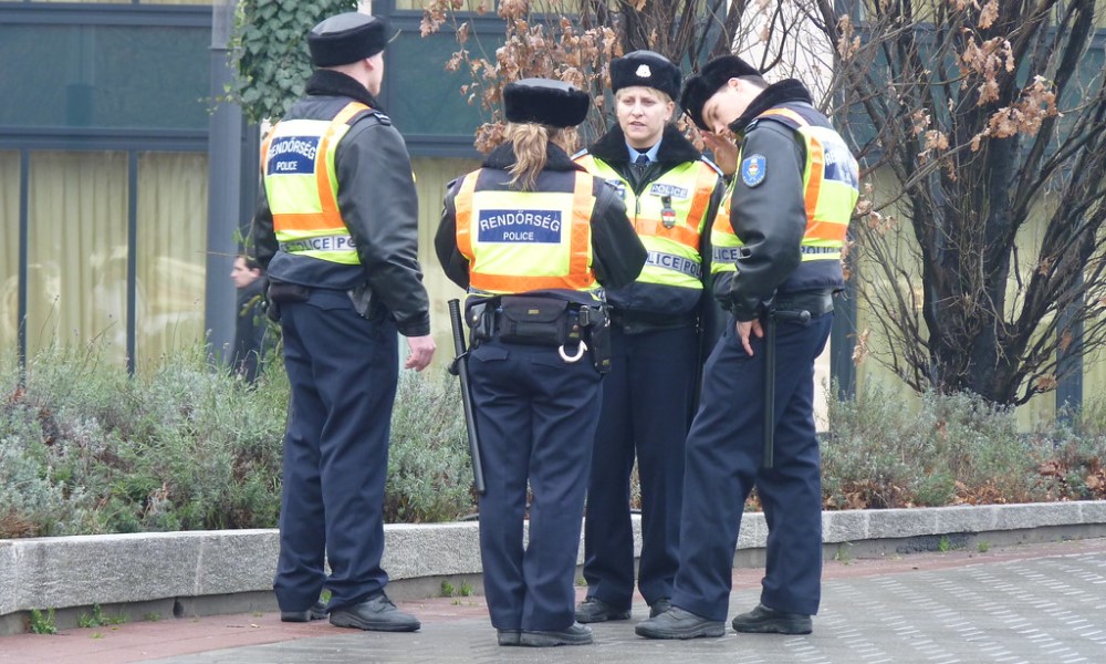 Sumnja pada na jednu ženu: Potraga u Mađarskoj, Srbiji i Rumuniji, nestalo 7 djece
