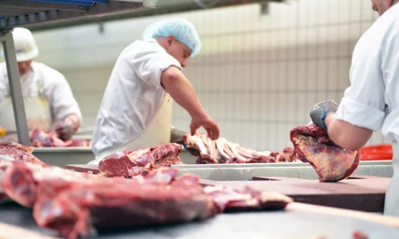 Radili bez dozvole: Inspekcija zatekla preko 14 tona mesa opasnog po život