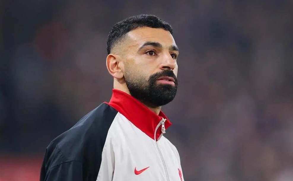 Naslovna slika br 42