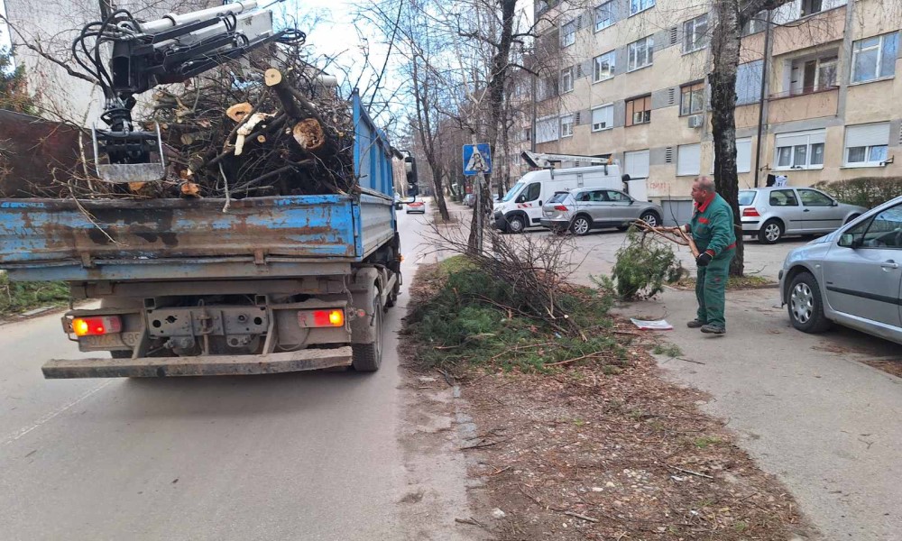 Nadležne ekipe na terenu: Uklanjaju oštećena stabla i grane u Banjaluci