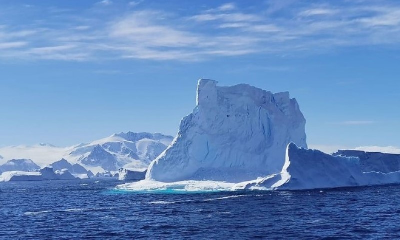 Naučnici na Antarktiku pronašli nešto veoma zabrinjavajuće: “Ovo je katastrofa”