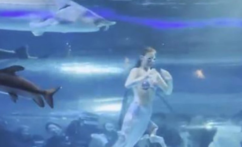 Bizarna scena! Djevojka u kostimu sirene zabavljala goste, a onda je uslijedio munjevit napad