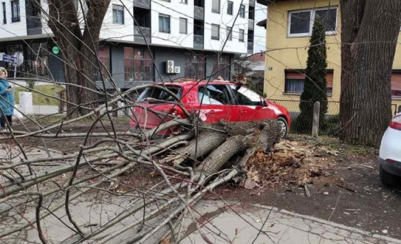 Ljudi, čuvajte se! Snažan vjetar srušio stablo u ovom dijelu Banjaluke FOTO