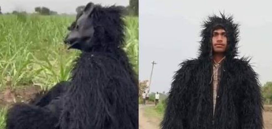 Genijalno ili bizarno? Farmeri oblače kostime medvjeda kako bi zaštitili usjeve VIDEO