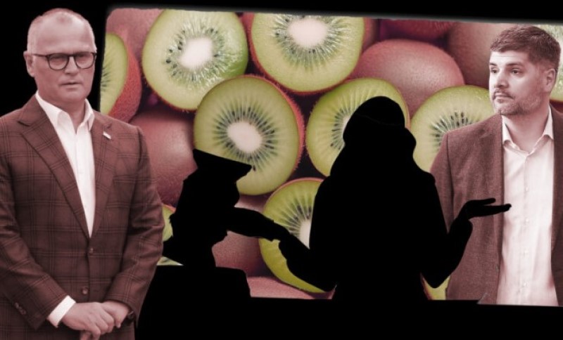 Oslobodila i Koluviju – za šverc kivija: Unaprijeđena sutkinja koja je ukinula pritvor Vesiću