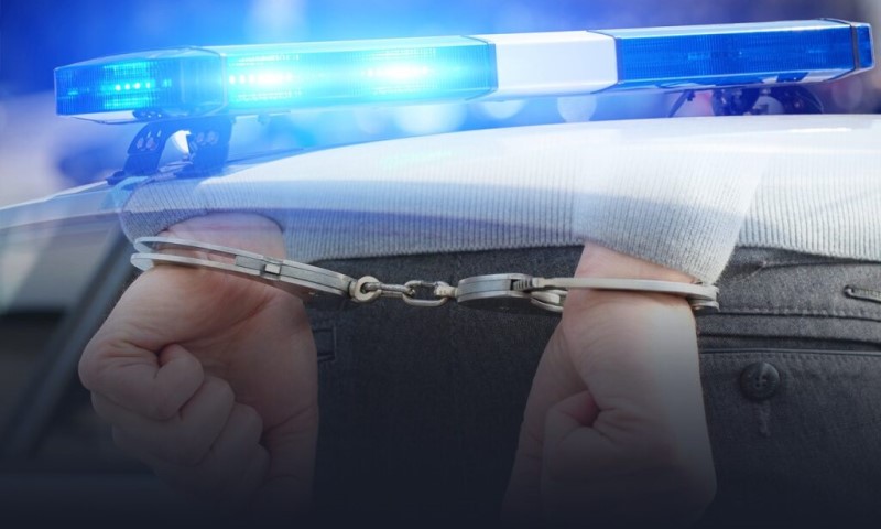 Uhapšene dvije osobe: U Beogradu zaplijenjeno 12 kilograma kokaina VIDEO