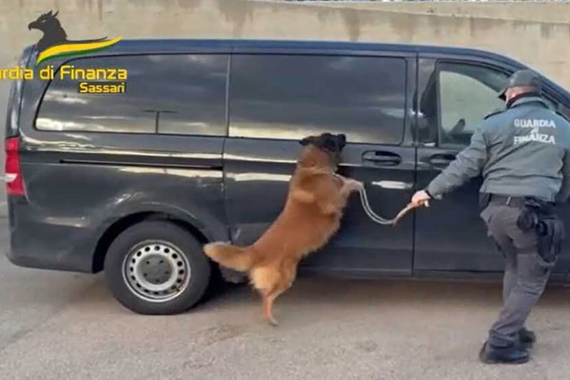 Pas skočio na kombi u kom je bio Srbin (22): Nanjušio 11 kilograma kokaina