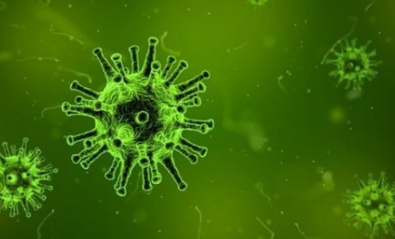 Smrtonosni virus kosi sve pred sobom: Ovo su simptomi