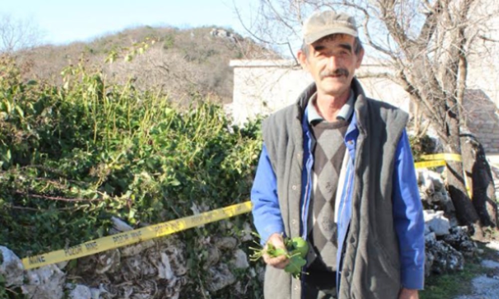 Ilija decenijama bere jednu biljku: Dnevna zarada i do 350 KM