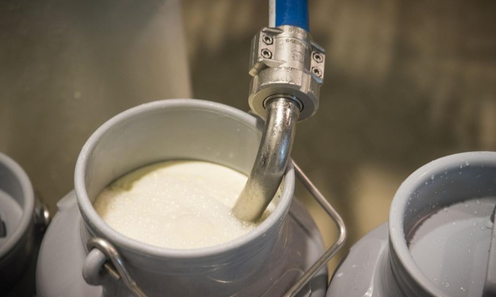 Oglasila se Agencija za bezbjednost hrane: Aflatoksin je kancerogen, pojačane mjere kontrole