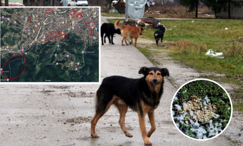 Zar smo toliko ljuti na pse?! U Banjaluci kruže spiskovi lokacija na kojima je postavljen otrov FOTO