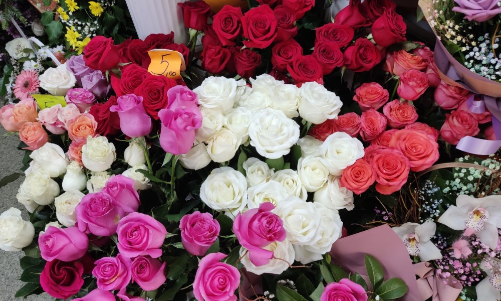 Super trik! Zakopajte jednu namirnicu pored ruža i cvjetaće raskošno sve do kasne jeseni