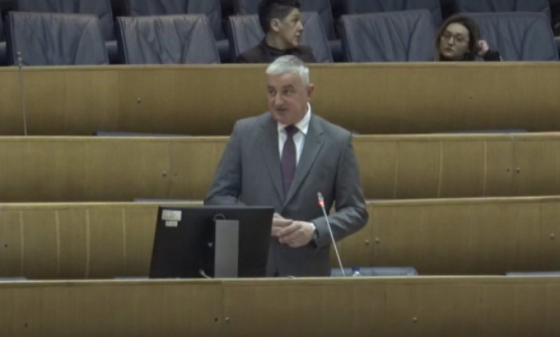 Niko nije bio za: Borenović nije izabran za zamjenika predsjedavajućeg Predstavničkog doma VIDEO