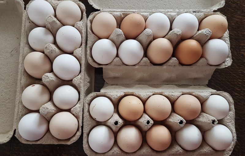 Zašto treba da kupujete sitnija jaja: Žena sa pijace mnogima uštedjela novac ovim savjetom