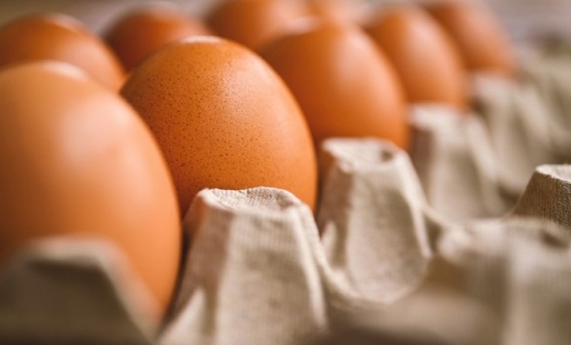 Domaći živinari i dalje čekaju: Hitno uskladiti zakone da bi izvozili jaja A kategoriji u EU