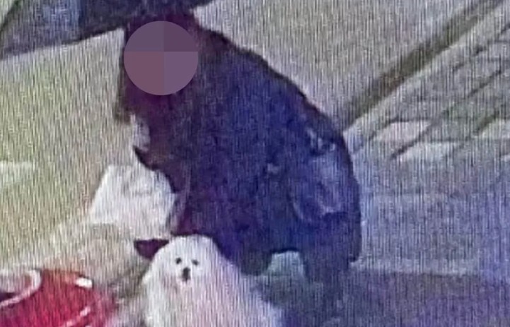 Ukraden pas: Vlasnica ostavila ljubimca ispred prodavnice i nije ga našla kad je izašla