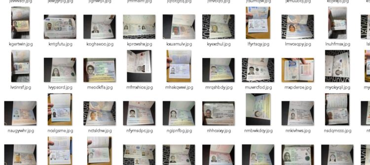 Pasoši građana BiH na prodaju na Dark Webu: Mnogi to ne znaju