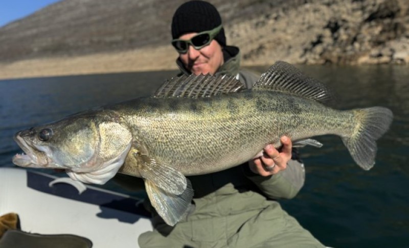 “Moj lični rekord”! Trebinjac ulovio smuđa teškog devet kilograma, pa ribu vratio u vodu