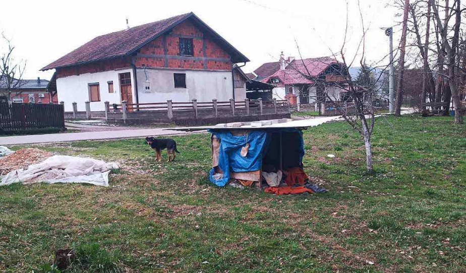 Pas ugrizao djevojčicu u Banjaluci: Mještani ogorčeni zbog ilegalnog azila