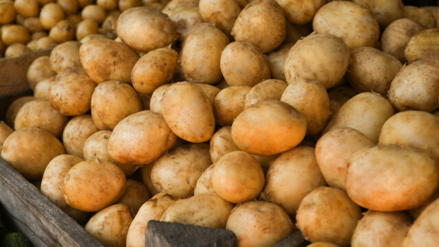 Četiri jednostavna koraka: Krompir neće proklijati ako ga ovako čuvate – probajte