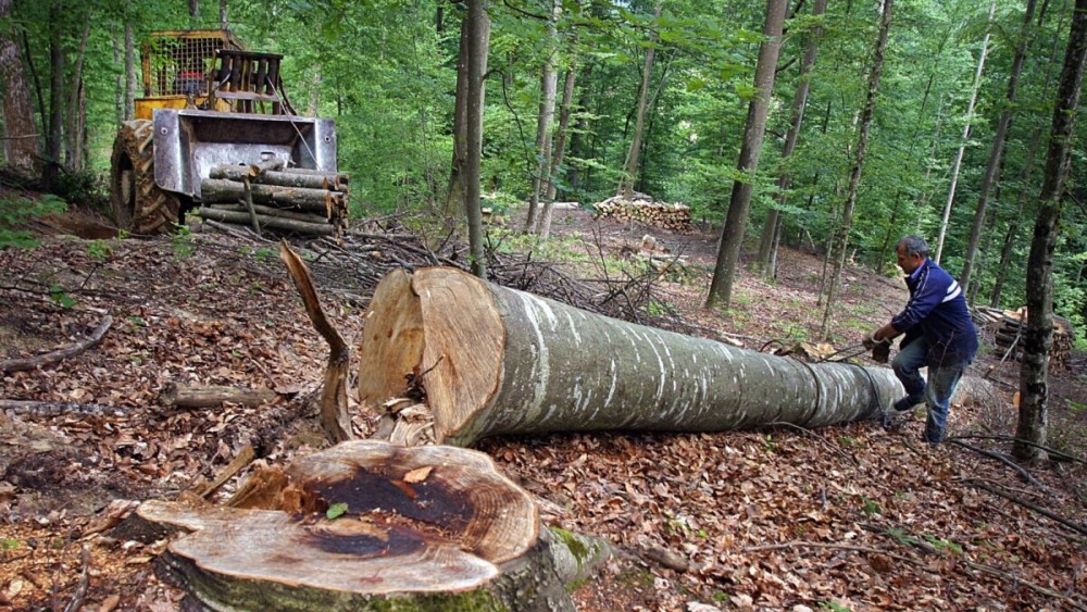 Potreban ozbiljan reset: Ima li spasa za najveće gubitaše u Republici Srpskoj?