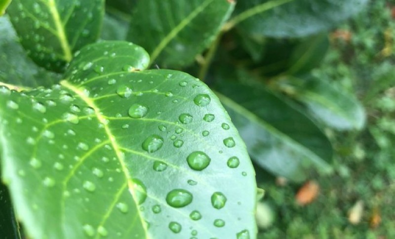 Kiša iznenadila i meteorologa iz BiH: “Ne mogu ni sebi srediti vrijeme”