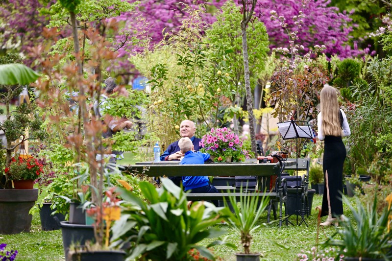 Poziv izlagačima da se prijave: Festival cvijeća od 11. do 13. aprila u Parku knjige u Banjaluci