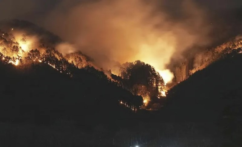 Vatra do sada zahvatila oko 3.000 hektara: Veliki požar nastavlja da se širi uprkos kiši VIDEO/FOTO