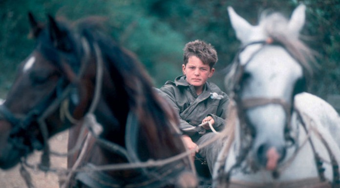 Tragična sudbina najmlađeg borca VRS: Promocija strip albuma “Spomenko – Priča o jednom djetinjstvu”