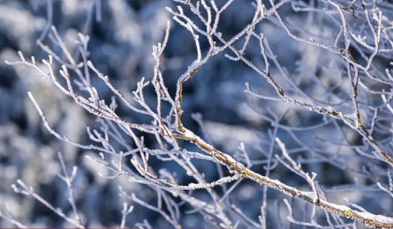 Obucite se toplije: Sutra promjenljivo oblačno uz slab snijeg