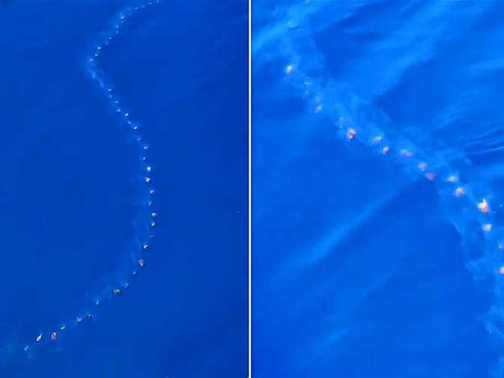 Mnogi ostali u čudu: Nesvakidašnje scene snimljene kod Drvenika VIDEO
