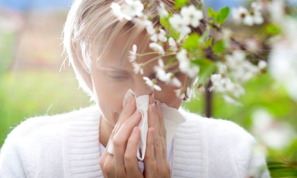 Pogađa sve starosne grupe: Povećava se broj alergičnih na polen u Srpskoj
