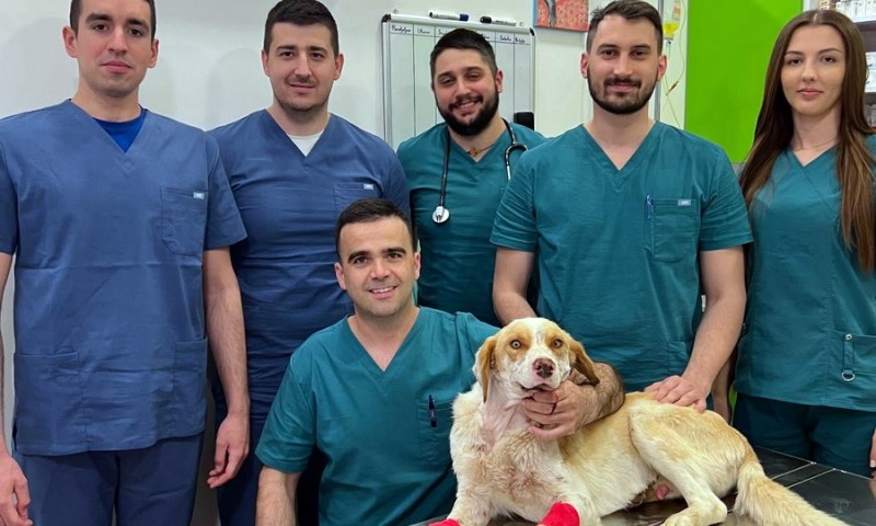 Humana misija poznatog doktora i njegove ekipe: Operisan pas kome je raznijeta vilica