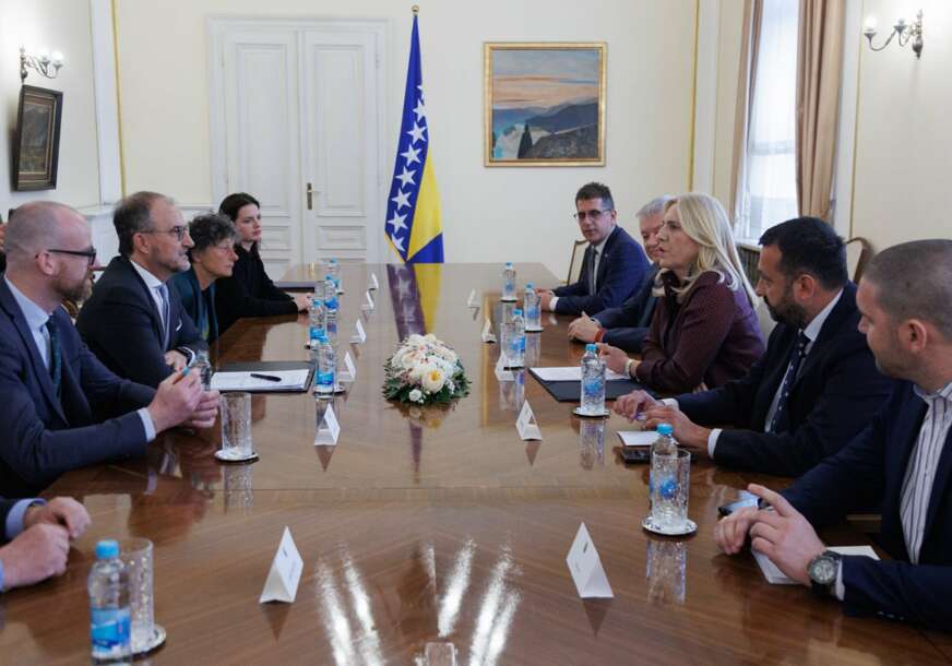 Cvijanovićeva razgovarala s evropskim parlamentarcima: Izazovi u BiH su političke, a ne bezbjednosne prirode