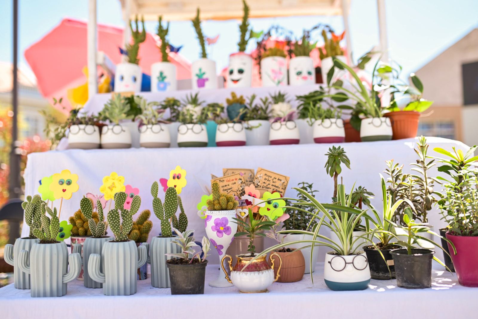 Proljećna bajka: Počeo Festival cvijeća, najljepši miris se širi Banjalukom FOTO