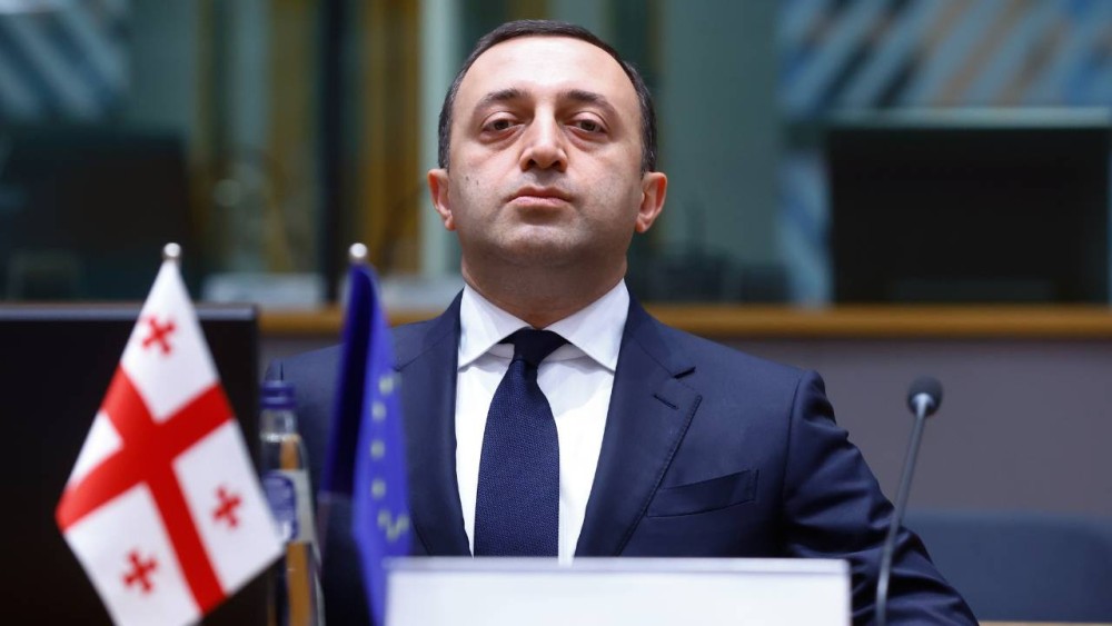 Predsjednik vladajuće stranke u Gruziji: Garibašvili se povlači iz politike