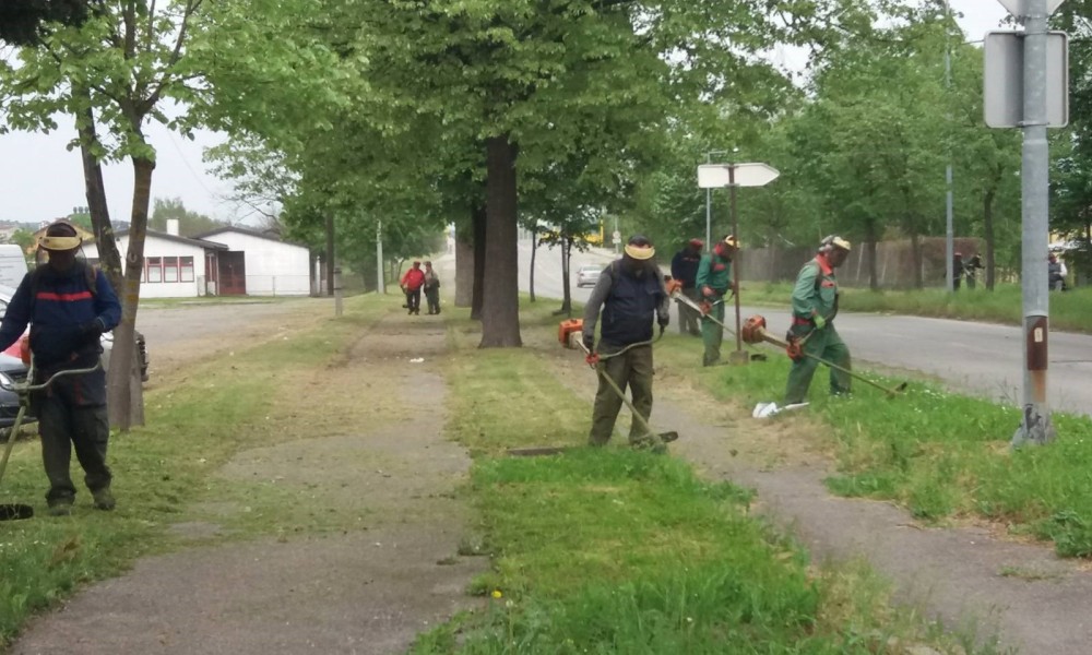 Akcija u Banjaluci: Nastavljeno košenje i uređenje zelenih površina FOTO
