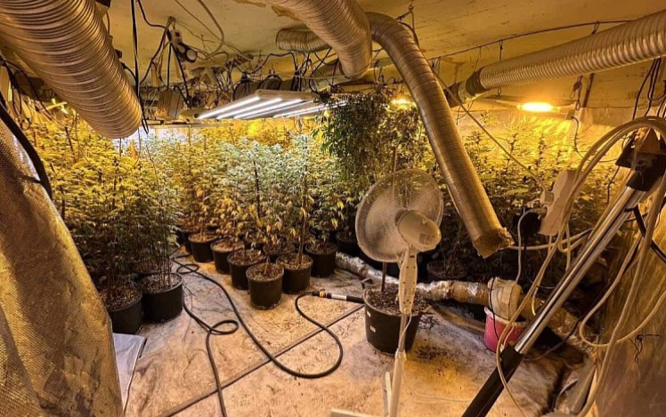 Poznata imena uhapšenih: Policija oduzela drogu vrijednu više od milion KM