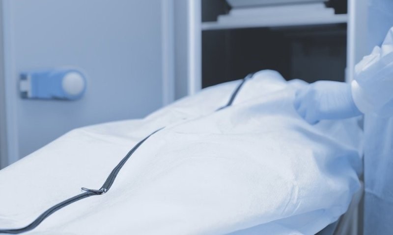 Tijelo djevoјčice pronađeno u šumi: Djevojka (23) osumnjičena za ubistvo