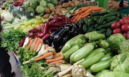 Birajte pametno – za sebe i svoju porodicu: U ovom povrću ima najviše pesticida