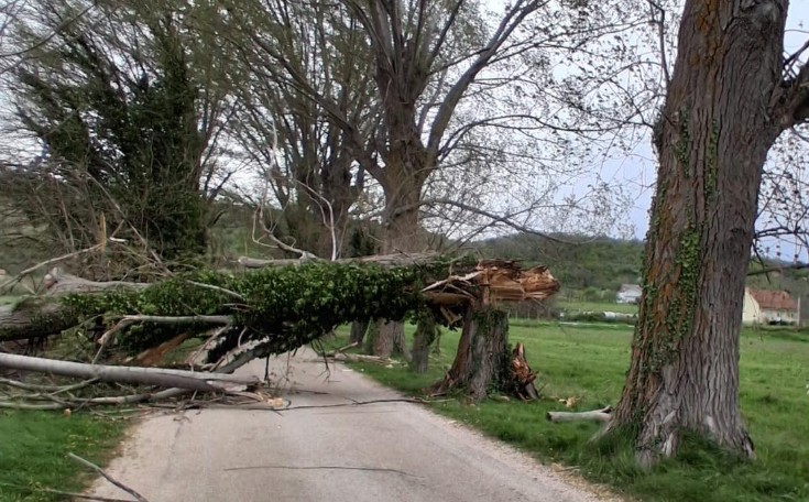 Vjetar napravio haos: Olujni jugo čupao stabla i nosio krovove VIDEO